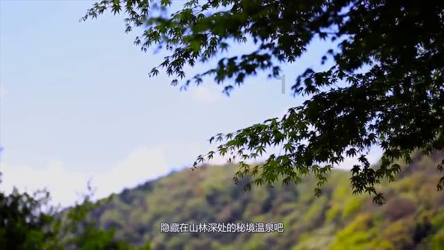 虫虫助手下载