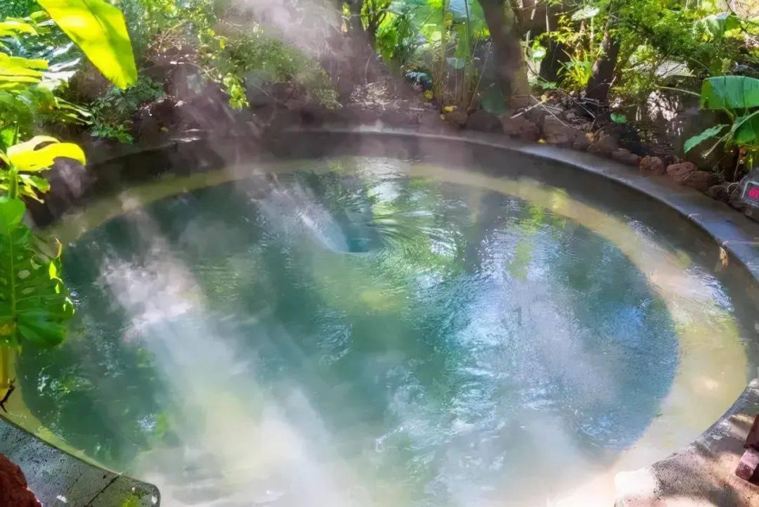 创作猫
